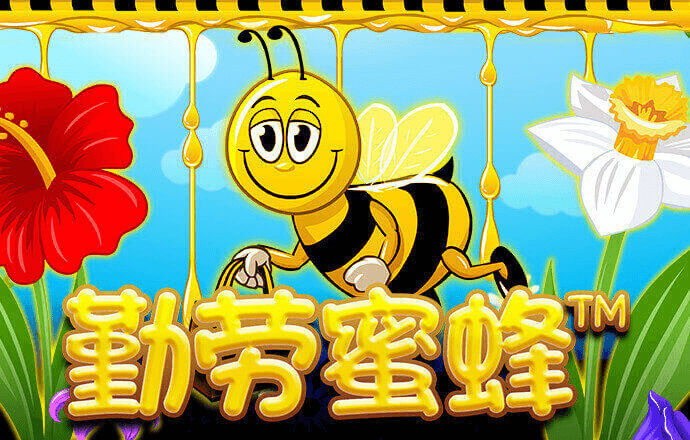 香港宝典免费资料大全六盒