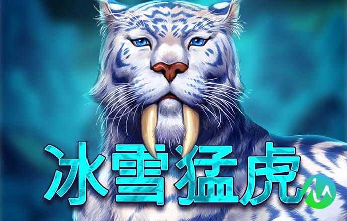 澳门资料网站2024最新版